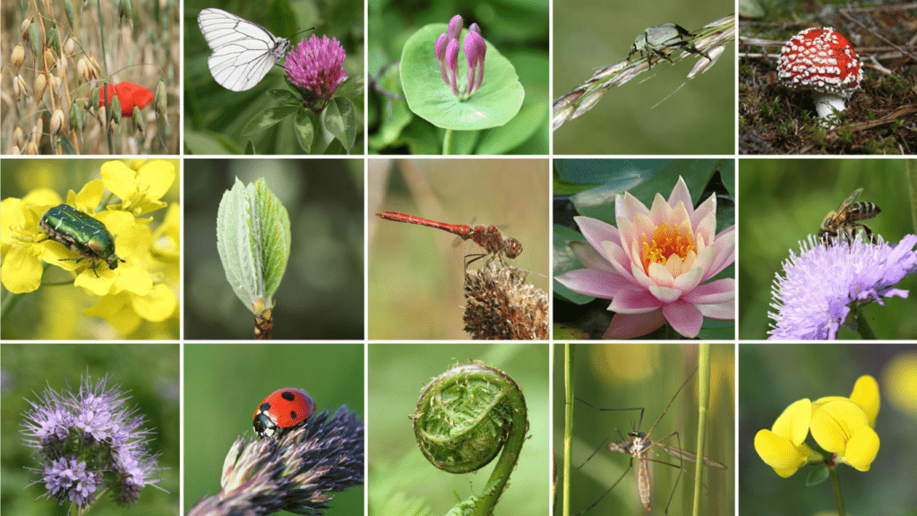 Creating a Cohesive Visual Story Through Your Photography Portfolio Tips for Stunning Results