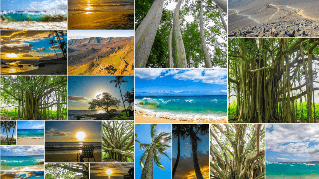 Finding the Perfect Photo Count