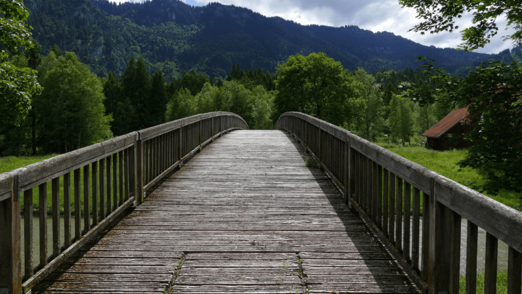 How to Use Leading Lines to Draw Attention to Your Subject in Photography