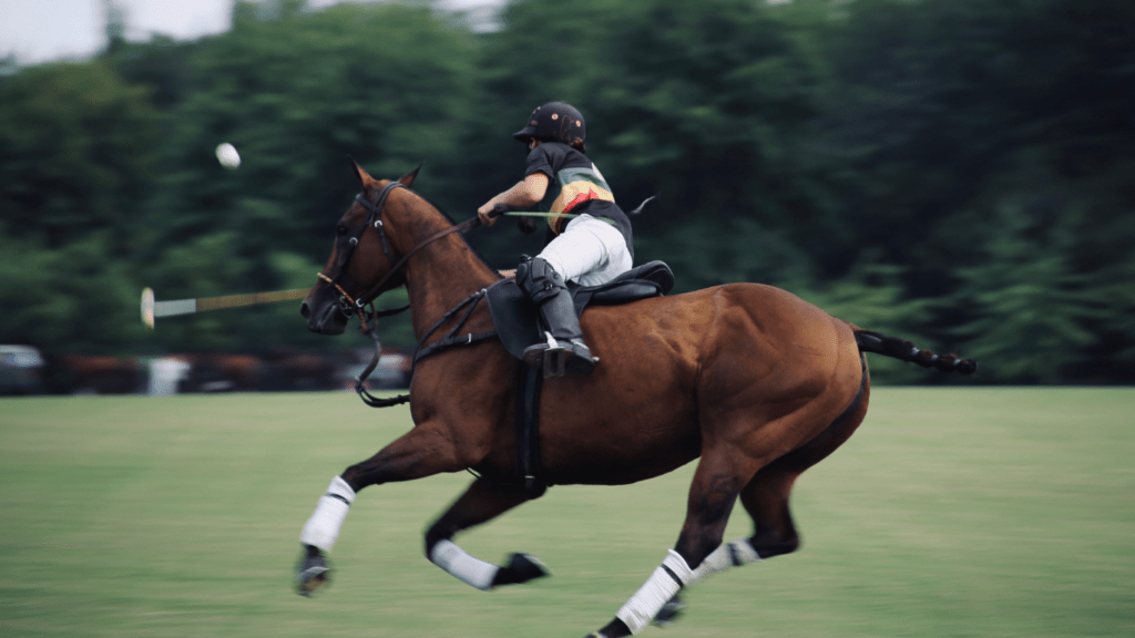 Key Elements Of Capturing Dynamic Movement