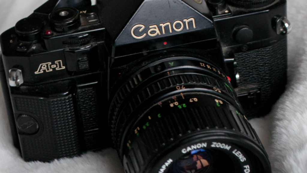 Lens Ecosystem And Compatibility