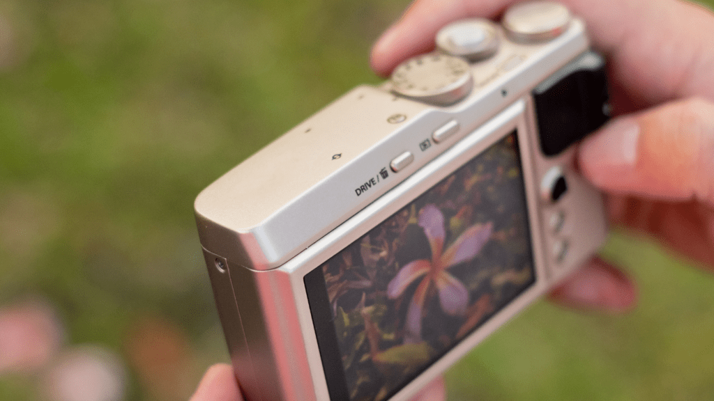 Our Favorite Compact Cameras For Everyday Shooting