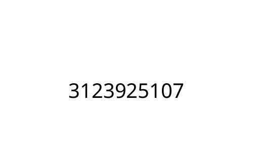 3123925107