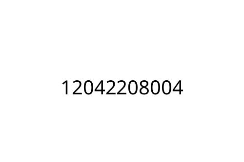 12042208004