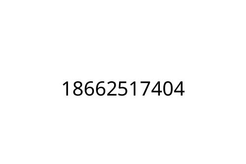 18662517404