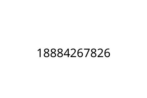 18884267826