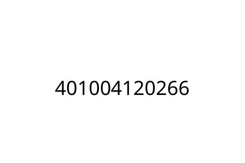 401004120266