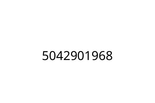 5042901968