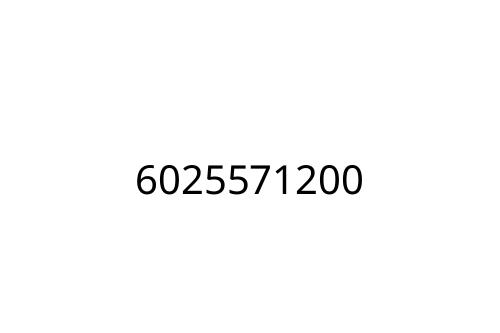 6025571200