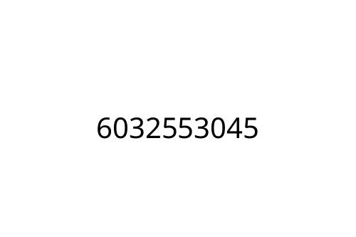 6032553045