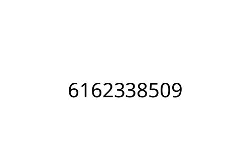 6162338509
