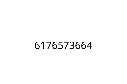 6176573664