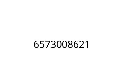 6573008621