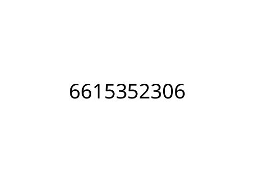 6615352306