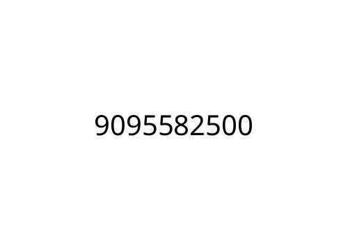 9095582500