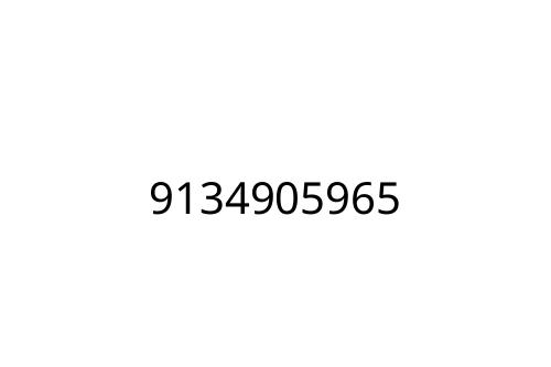 9134905965