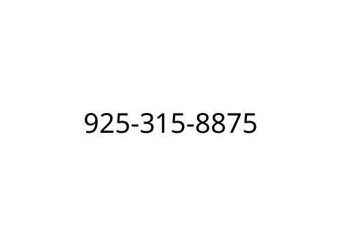 925-315-8875