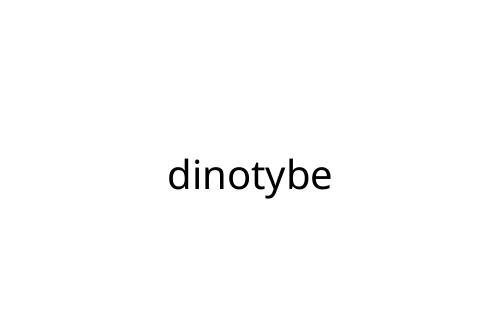 dinotybe