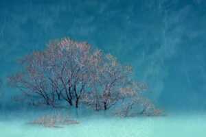 mid length low maintenance choppy shaggy shoulder length hair