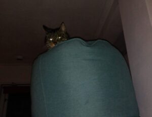 hotbraziliancouple69