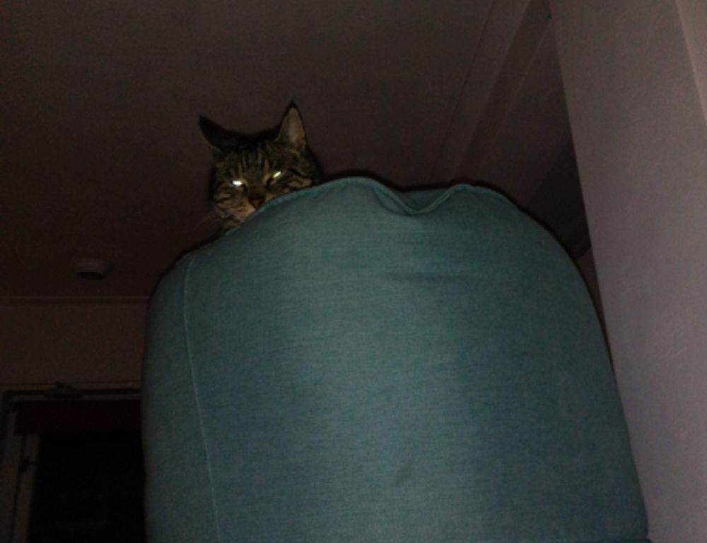 hotbraziliancouple69