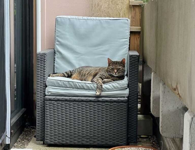 gaming world digitalrgsorg