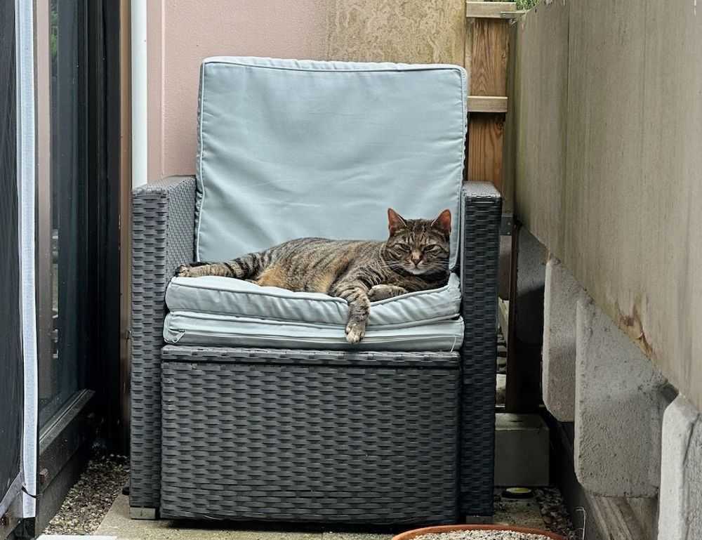 gaming world digitalrgsorg