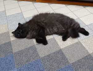 tech articles digitalrgsorg