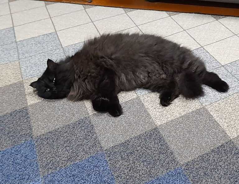 tech articles digitalrgsorg