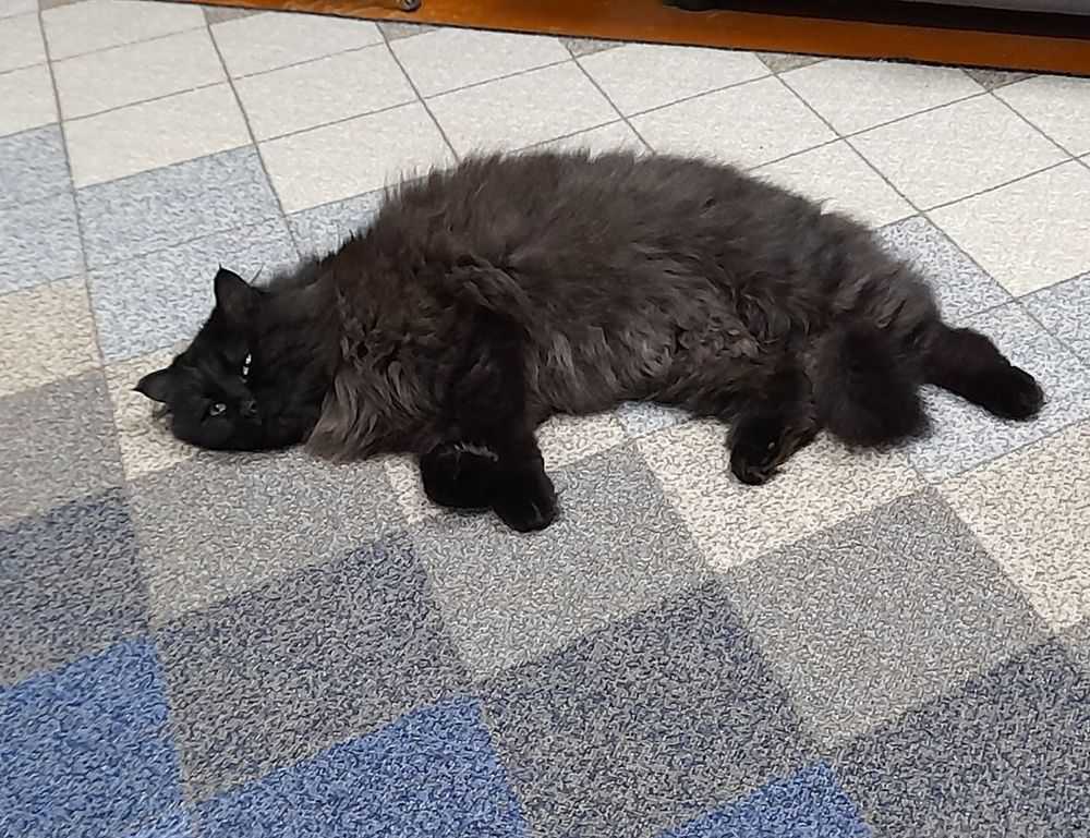 tech articles digitalrgsorg