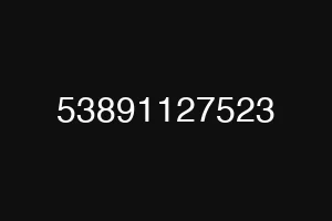 53891127523