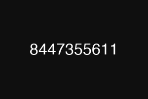 8447355611