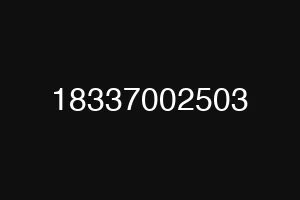 18337002503