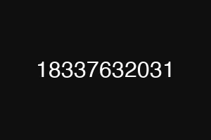 18337632031