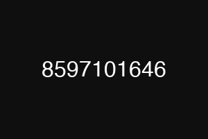 8597101646