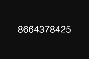 8664378425