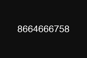 8664666758