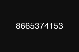 8665374153