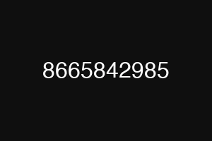 8665842985