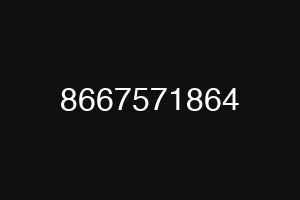 8667571864