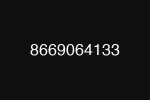 8669064133