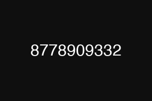 8778909332